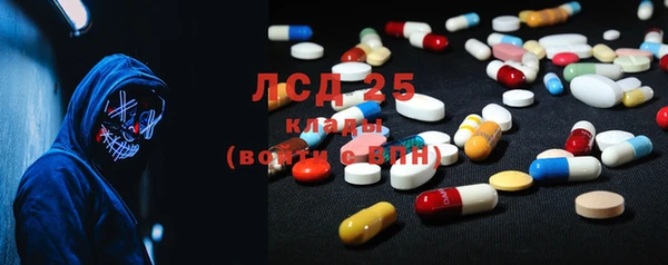 экстази Бородино