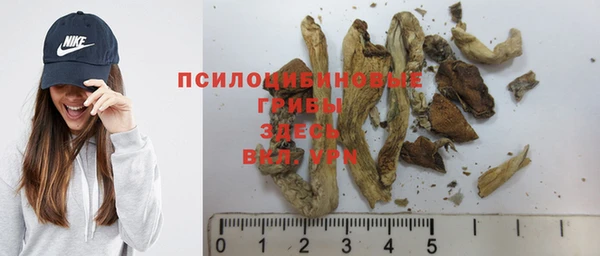 экстази Бородино