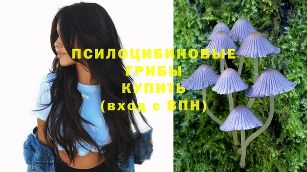 экстази Бородино