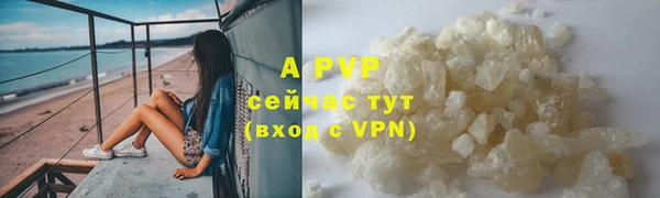 экстази Бородино