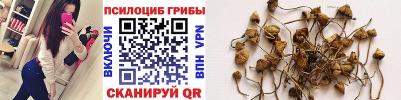 цены   Новоульяновск  Галлюциногенные грибы мухоморы 